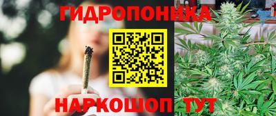 мяу мяу мука Заводоуковск