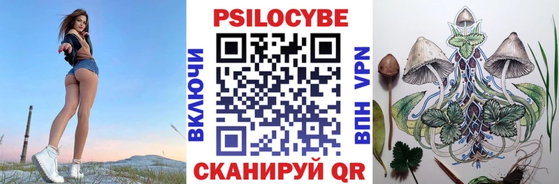 купить наркотик  KRAKEN ТОР  Псилоцибиновые грибы мицелий  Тайшет 