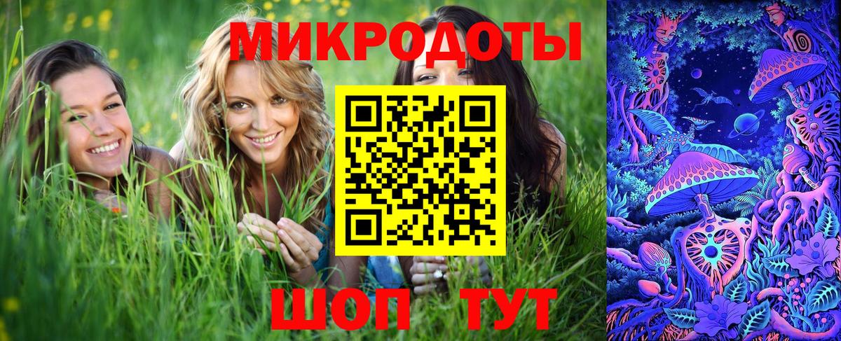 продажа наркотиков  Тайшет  Псилоцибиновые грибы Psilocybe 