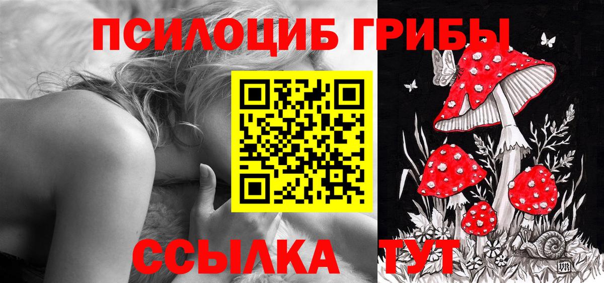 Псилоцибиновые грибы прущие грибы Тайшет