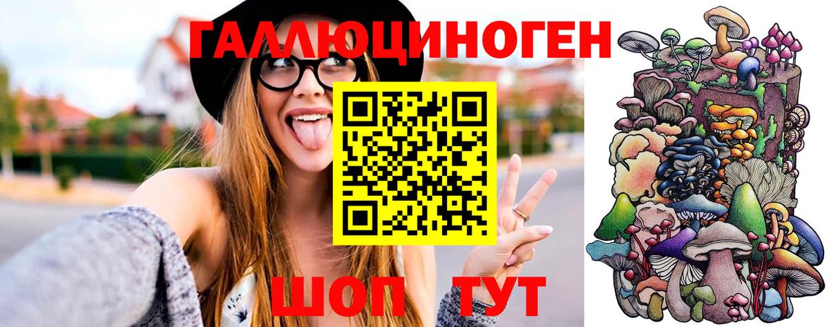 Псилоцибиновые грибы MAGIC MUSHROOMS  Вход с VPN  цена наркотик  Галлюциногенные грибы Magic Shrooms  Тайшет 