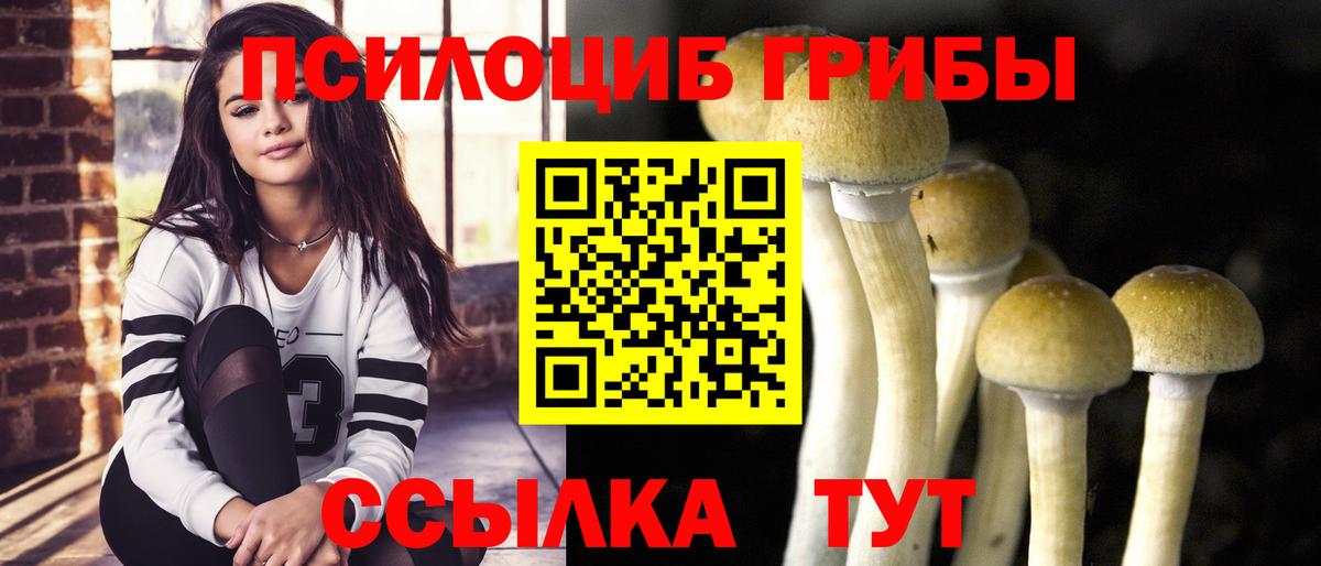 Галлюциногенные грибы Magic Shrooms Тайшет